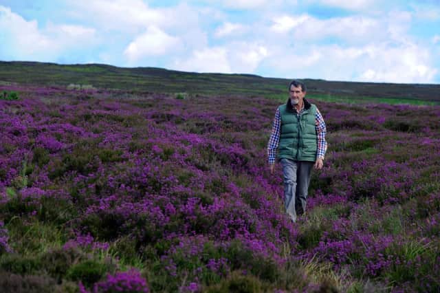 Professor Roy Brown on Bransdale Moor where there is a programme running to control bracken.    Picture: Gary Longbottom