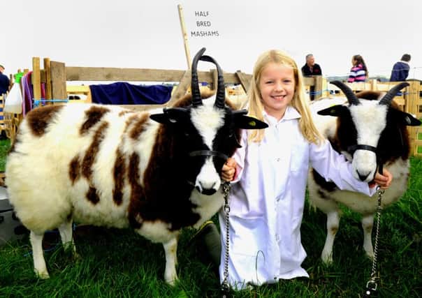 Millie Moore, aged nine, from Newton Le Willows near Bedale with two Jacob lambs she was showing at Wensleydale Show (GL1007/15a)  Pictures: Gary Longbottom