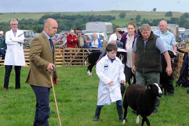 Judging the Zwartble sheep at Wensleydale Show (GL1007/15g)