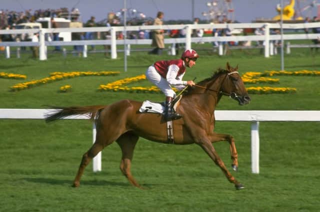 TRIPLE CROWN WINNER: Steve Cauthen and Oh So Sharp stride out during the St Leger at Doncaster racecourse. Picture: Allsport UK/Allsport.