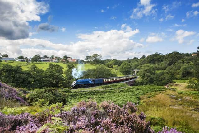 The Sir Nigel Gresley travelling along the Pickering to Goathland line in the North Yorkshire Moors. Picture: Andrew McCaren/AM images