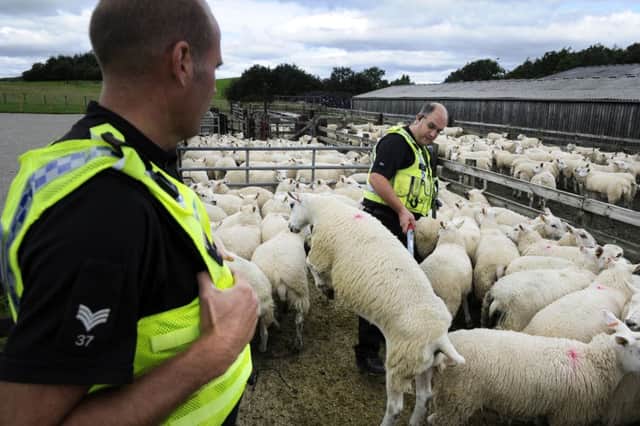 Constable Ridler and Sgt Moorhouse of North Yorkshire Police scanning tags at Newton Bank Farm, Gargrave.  Pictures: Bruce Rollinson.