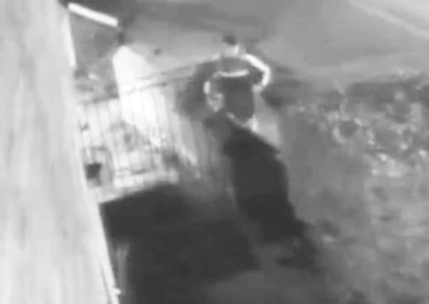 CCTV shows the moment the dog was snatched. Picture: Ross Parry Agency