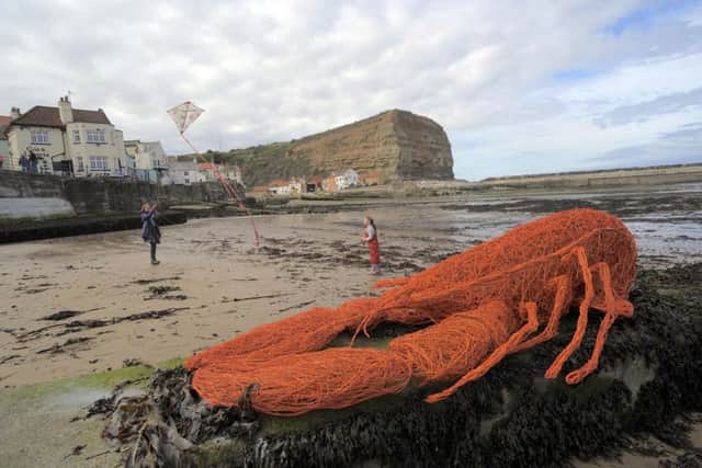One of the 9ft lobsters in Staithes Harbour.  Picture: Tony Bartholomew.