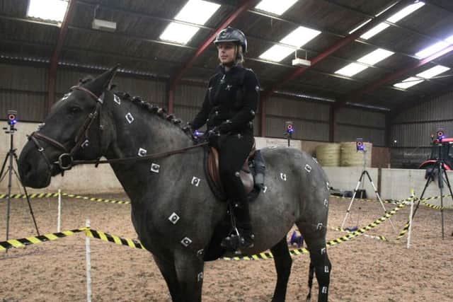 Researcher Karl Abson has an array of 20 motion capturing cameras sensitive to near-infrared light in his studio, which he uses with his horse Marie.
Photo: Karl Abson/University of Bradford/PA Wire