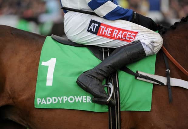 A saddlecloth with Paddypower branding at Cheltenham Racecours Photo: Nigel French/PA Wire