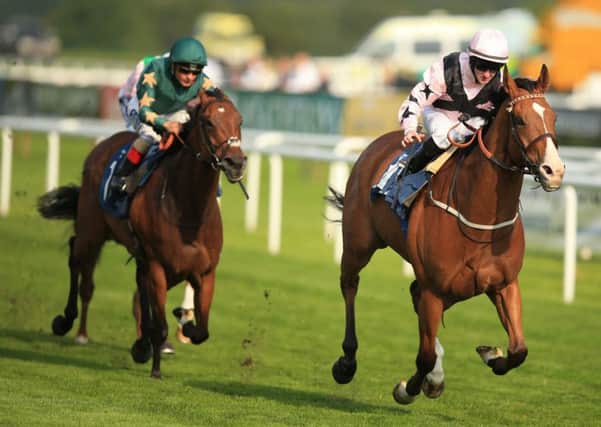 Hoof It ridden by Graham Gibbons (right) wins The Coopers Marquees Handicap Stakes.
