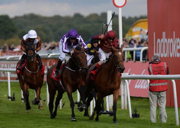Bondi Beach ridden by Colm O'Donogue (purple silks) wins the Ladbrokes St Leger Stakes beating Simple Verse ridden by Andrea Atzeni following an enquiry. Picture: Anna Gowthorpe.