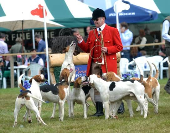 The CLA Game Fair at Harewood House this summer