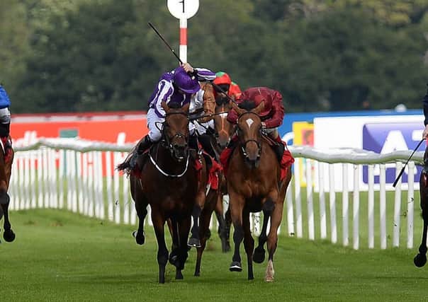CLASH: Bondi Beach, left, and Simple Verse ride close together, leading to the stewards enquiry at Doncasters St Leger. Picture: PA