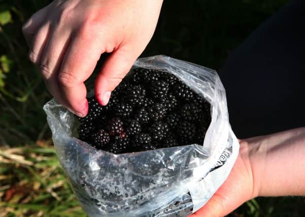 Superstition suggests now may not be a wise time to pick blackberries.