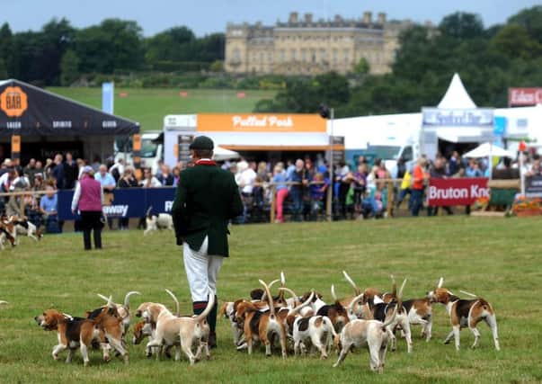 This year's CLA Game Fair at Harewood House. Picture by Simon Hulme