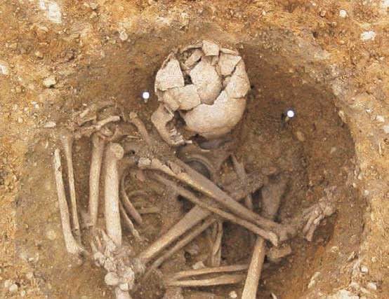 Skeletons discovered at 

Bradley Fen, Cambridgeshire.
Photo: Cambridge Archaeological Unit