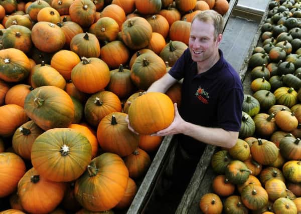 Jason Butler in The Pumpkin Patch. He has produced a crop of 18,000 this year on Homeland Farm at Bewholme.          Picture: Bruce Rollinson