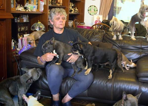 41 Dogs In My Three Bed Semi** Channel 5, 9th October, 8pm featuring Lynn Everett from Barnsley