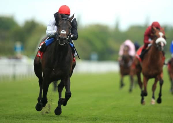 Golden Horn ridden by William Buick wins The Betfred Dante Stakes.