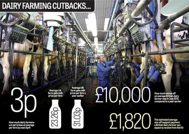 Dairy farming cutbacks in numbers.  Graphic: Graeme Bandeira.