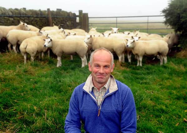 Farmer Ian Clough, in front of his flock of Dutch Texel Sheep.