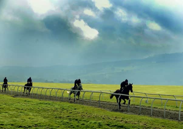 Horses from Julia Brooke's yard on the gallops on Middleham Moor