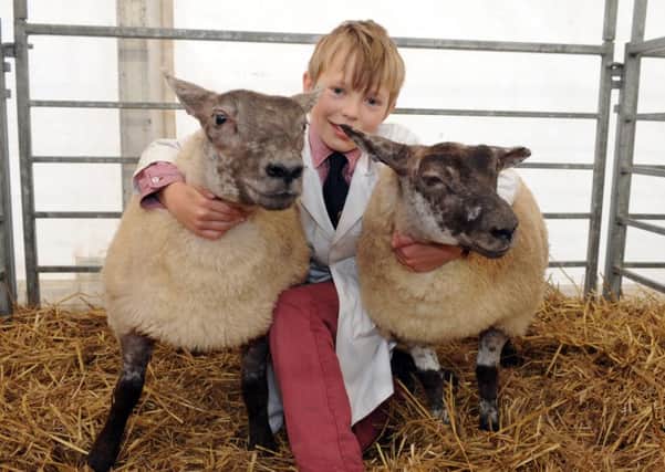 Jack Thompson, 10, with his pair of Suffolk Cross Beltex which won native champion at Countryside Live held at the Great Yorkshire Showground in Harrogate. Picture: Tony Johnson