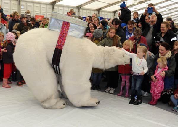 Bjorn the Polar Bear at Countryside Live held at the Great Yorkshire Showground in Harrogate. Picture: Tony Johnson