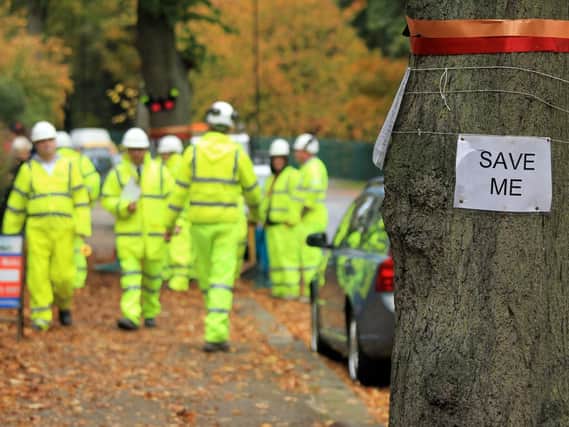 The cutting down of trees in Sheffield as part of roadworks has aroused strong opposition