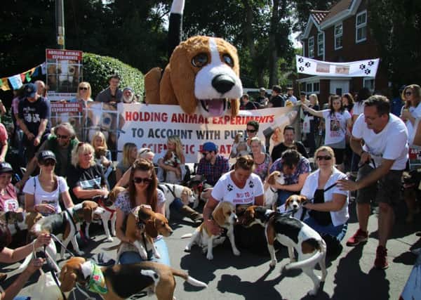 A demonstration at Grimston earlier this year against the resumption of beagle breeding at B&K in the village.