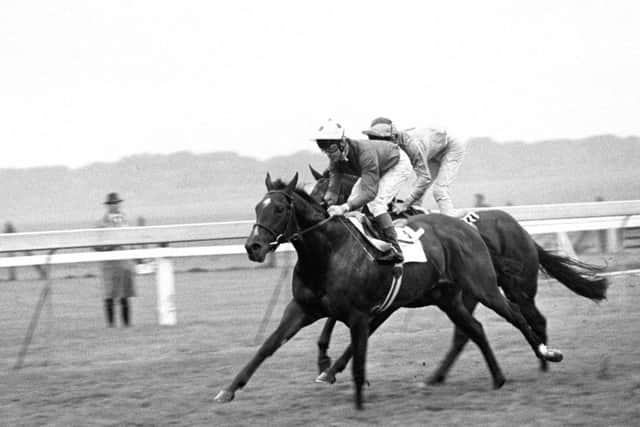Pat Eddery on No.9 Stormbird (nearest camera) winning the William Hill Dewhurst Stakes at Newmarket in 1980