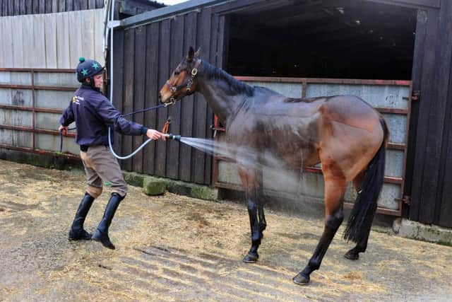 Jonathan England, in the yard at Guiseley. He smashed his vertebrae in a fall on the gallops six weeks ago and is back riding thanks to all the rehab and support from Jack Berry House, the Injured Jockeys Fund centre in Malton. (Picture: Tony Johnson)