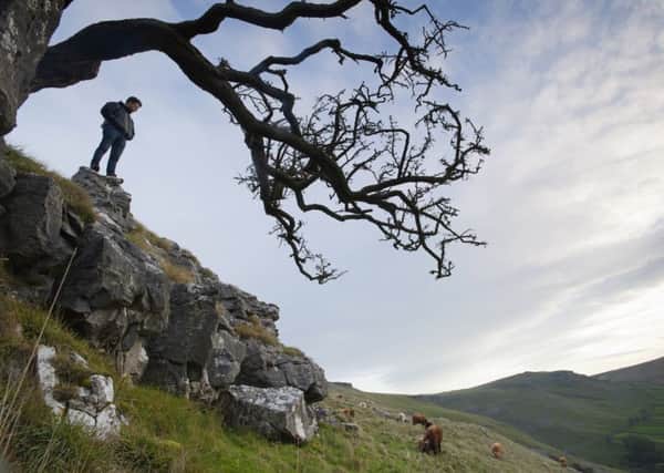 WILD AT HEART: A walker enjoying the landscape along the Pennine Way, in the Yorkshire Dales. Picture:  NTPL/Paul Harris.
