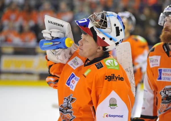 Marek Pinc, should start for Sheffield Steelers against Cardiff Devils on Wednesday night. Picture: Dean Woolley.