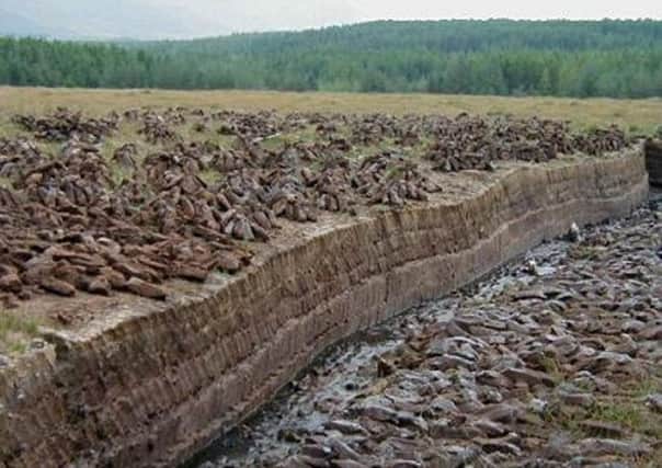 Peat bogs 'need protecting'