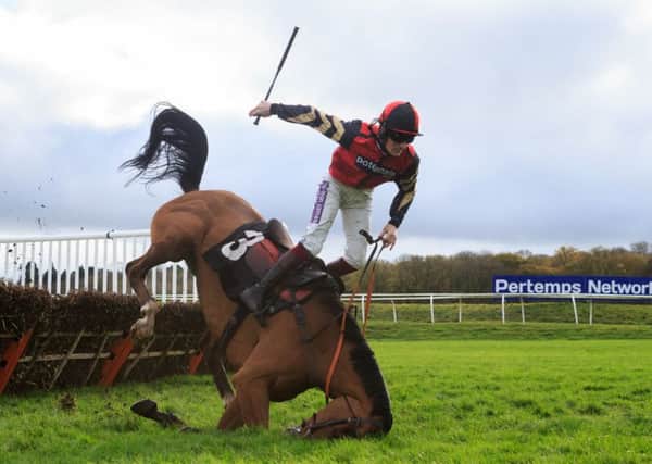 Copain De Classe, ridden by Sam Twiston-Davies, takes a fall at the last during The Q Associates Juvenile Hurdle at Newbury yesterday (Picture: John Walton/PA).