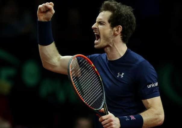 Andy Murray yells in triumph (Pictures: Andrew Milligan/PA Wire).