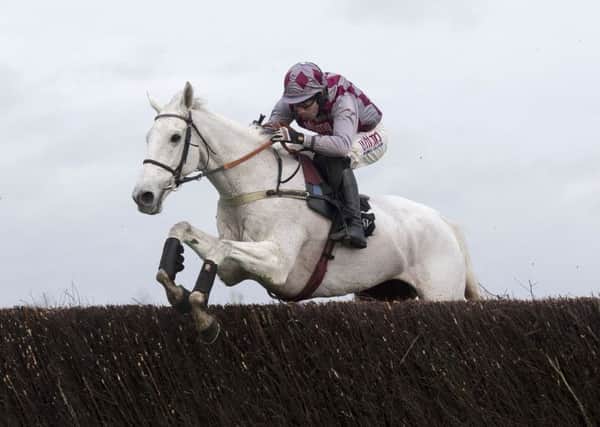 GOLD TRIUMPH: Smad Place ridden by Wayne Hutchinson clear the last fence before going on to win the Hennessy Gold Cup at Newbury. Picture: PA