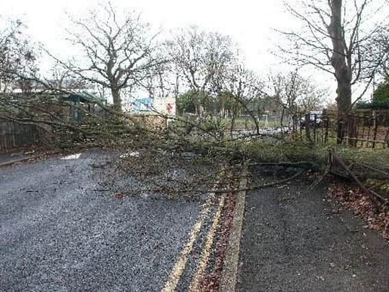 Storm Desmond will bring strong winds which could bring down trees, warns the Met Office