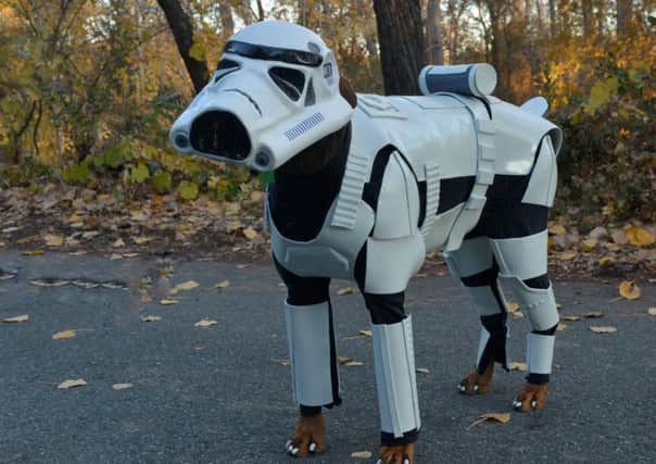 Pincher the doberman wearing the Storm trooper costume. See South West copy SWTROOPER: A Star Wars fan has created the worlds best dog costume, turning her Doberman into a  STORMTROOPER. The incredible full-body costume turns the massive Doberman Pincher into one of the evil Galactic Empires finest, covering her head-to-toe in the iconic white and black uniform. Sabrina Ridler spent hundreds of hours painstakingly making the bespoke costume for her beloved four-year-old pet Penny Bark-Bark. The well-behaved brown dog would look at home on any Death Star when she wears the incredible costume  which even includes a helmet. Proud owner Sabrina said: Penny is now a proud member of Stormtrooper Ranch.
