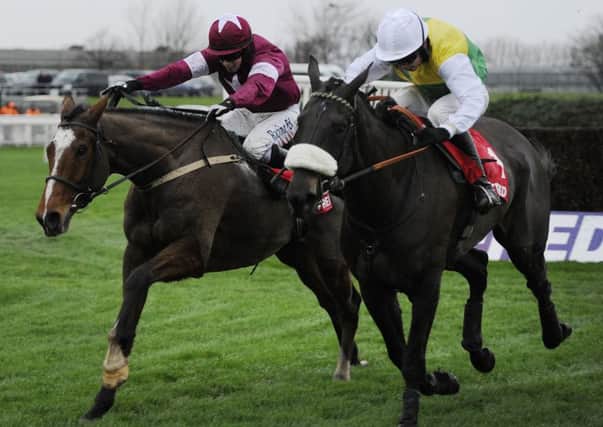 Don Polli beats Many Clouds to win the Betfred Lotto £100k Cash Giveaway Chase at the weekend (Picture: John Giles/PA Wire).