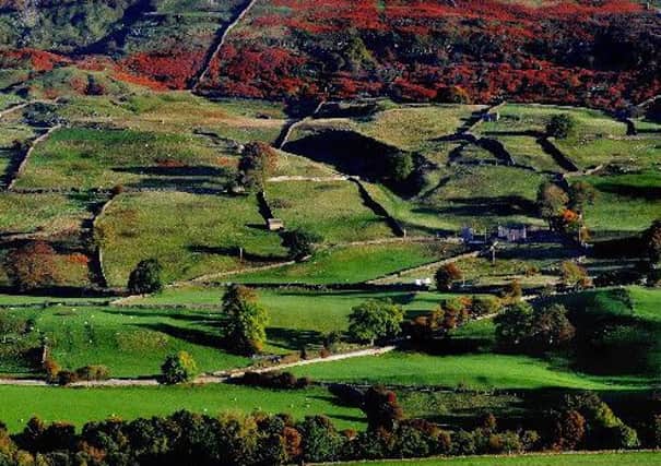 Swaledale in the Yorkshire Dales National Park