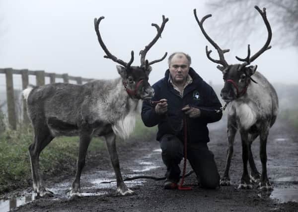 Richard Burniston with two of his herd at Riggmoor Reindeer, Little Givendale Farm, near Ripon.   Picture: Bruce Rollinson