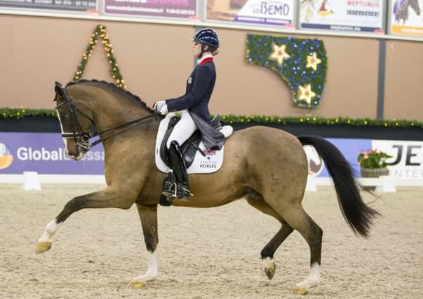 Riding high: Lottie Fry and Exquis Clearwater competing at the recent CDI Roosendaal Indoor event.