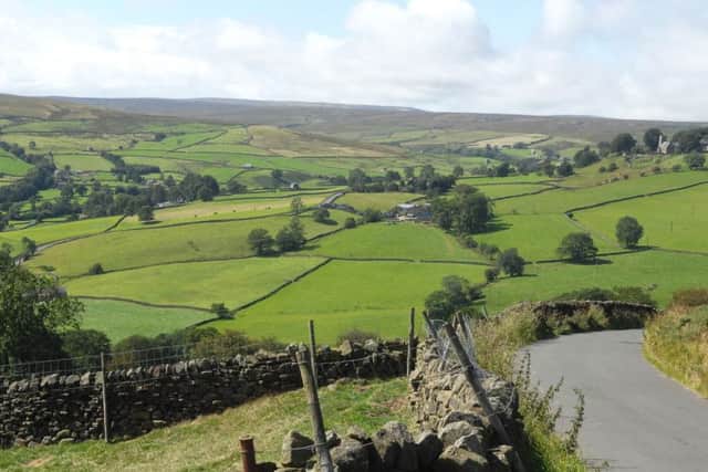 Rural Nidderdale in summer sunshine. Picture: Adrian Murray (14090323AM1)