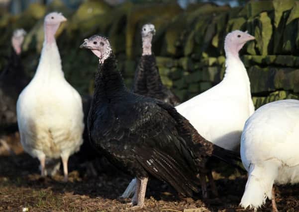 Farmers have been hard at work preparing birds for Christmas dinner plates.