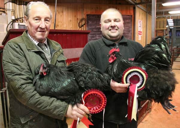 Mark Rangeley, left, with his Skipton Christmas poultry show champions, joined by judge Geoff Marston.