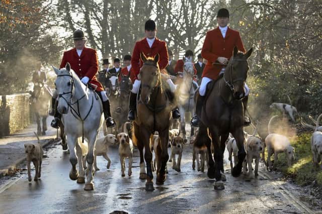 The law banning fox hunting is in "tatters", the Countryside Alliance has claimed