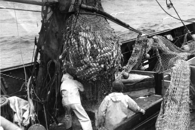 Fishing, Cod War trawlers.
