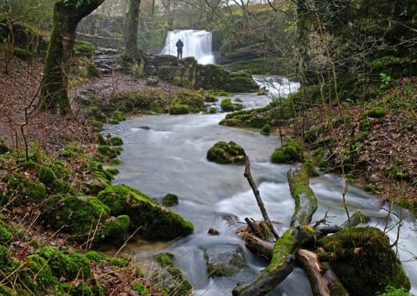Gordale Beck cascades over Janet's Foss.  (Picture Tony Johnson)