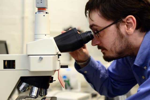 Dr Adam Washington of Sheffield University studies an Indian roller bird under the microscope.  Pic: Scott Merrylees