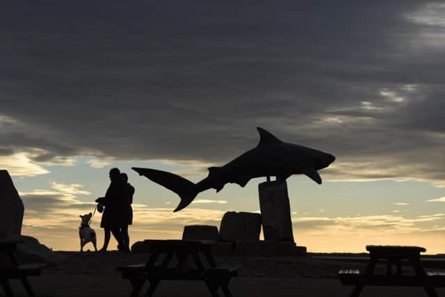 People walk a dog past a model of a shark outside The Deep aquarium attraction in Hull.