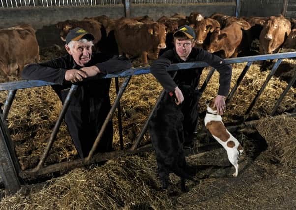 James Edgar recently won the Best Bull trophy at York Christmas Fatstock Show & Sale, he is pictured (right) with his uncle Trevor and some of his Limousin herd at High Bohemia Farm, Plainville Lane, Wigginton, York.  Pic: Bruce Rollinson